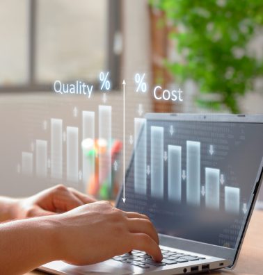 Vertical Image on Business Optimization: Cost Control, Quality, and Project Management